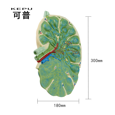 bet356体育在线官方网站